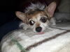 Filename=20200129_001.jpg
Filesize=415KiB
Dimensions=2048x1536
Date added=Oct 16, 2020 20200129_001.jpg