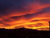 Filename=20200201_008.jpg
Filesize=165KiB
Dimensions=2048x1536
Date added=Oct 16, 2020 20200201_008.jpg