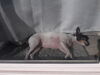 Filename=20200202_001.jpg
Filesize=262KiB
Dimensions=2048x1536
Date added=Oct 16, 2020 20200202_001.jpg