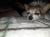 Filename=20200209_001.jpg
Filesize=323KiB
Dimensions=2048x1536
Date added=Nov 05, 2020 20200209_001.jpg