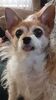 Filename=20200302_002.jpg
Filesize=321KiB
Dimensions=1152x2048
Date added=Sep 26, 2021 20200302_002.jpg