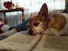 Filename=20200314_001.jpg
Filesize=387KiB
Dimensions=2048x1536
Date added=Nov 07, 2020 20200314_001.jpg
