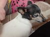 Filename=20200323_001.jpg
Filesize=392KiB
Dimensions=2048x1536
Date added=Nov 07, 2020 20200323_001.jpg