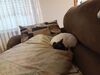 Filename=20200331_001.jpg
Filesize=356KiB
Dimensions=2048x1536
Date added=Nov 07, 2020 20200331_001.jpg