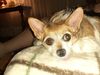 Filename=20200408_001.jpg
Filesize=502KiB
Dimensions=2048x1536
Date added=Nov 07, 2020 20200408_001.jpg
