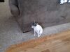 Filename=20200419_001.jpg
Filesize=692KiB
Dimensions=2048x1536
Date added=Nov 07, 2020 20200419_001.jpg