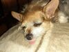 Filename=20200429_001.jpg
Filesize=659KiB
Dimensions=2048x1536
Date added=Nov 07, 2020 20200429_001.jpg