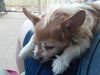 Filename=20200430_001.jpg
Filesize=455KiB
Dimensions=2048x1536
Date added=Nov 07, 2020 20200430_001.jpg