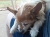 Filename=20200430_002.jpg
Filesize=390KiB
Dimensions=2048x1536
Date added=Nov 07, 2020 20200430_002.jpg