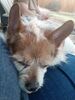 Filename=20200430_003.jpg
Filesize=375KiB
Dimensions=1536x2048
Date added=Nov 07, 2020 20200430_003.jpg