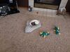 Filename=20200503_002.jpg
Filesize=703KiB
Dimensions=2048x1536
Date added=Nov 25, 2020 20200503_002.jpg