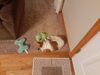 Filename=20200512_001.jpg
Filesize=591KiB
Dimensions=2048x1536
Date added=Nov 25, 2020 20200512_001.jpg