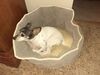 Filename=20200512_002.jpg
Filesize=597KiB
Dimensions=2048x1536
Date added=Nov 25, 2020 20200512_002.jpg