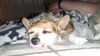 Filename=20200522_003.jpg
Filesize=393KiB
Dimensions=2048x1152
Date added=Sep 26, 2021 20200522_003.jpg