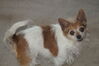 Filename=20200526_001.jpg
Filesize=293KiB
Dimensions=2047x1360
Date added=Nov 25, 2020 20200526_001.jpg