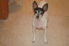 Filename=20200526_002.jpg
Filesize=346KiB
Dimensions=2047x1360
Date added=Nov 25, 2020 20200526_002.jpg