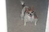 Filename=20200526_003.jpg
Filesize=272KiB
Dimensions=2047x1360
Date added=Nov 25, 2020 20200526_003.jpg