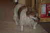 Filename=20200526_004.jpg
Filesize=280KiB
Dimensions=2047x1360
Date added=Nov 25, 2020 20200526_004.jpg