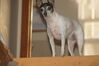 Filename=20200526_005.jpg
Filesize=223KiB
Dimensions=2047x1360
Date added=Nov 25, 2020 20200526_005.jpg