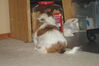 Filename=20200526_006.jpg
Filesize=261KiB
Dimensions=2047x1360
Date added=Nov 25, 2020 20200526_006.jpg