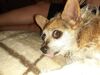 Filename=20200530_004.jpg
Filesize=734KiB
Dimensions=2048x1536
Date added=Nov 25, 2020 20200530_004.jpg