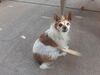 Filename=20200612_006.jpg
Filesize=887KiB
Dimensions=2048x1536
Date added=Sep 26, 2021 20200612_006.jpg