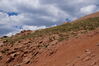 Filename=20200615_046.jpg
Filesize=586KiB
Dimensions=2047x1360
Date added=Dec 21, 2020 20200615_046.jpg