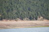 Filename=20200615_092.jpg
Filesize=510KiB
Dimensions=2047x1360
Date added=Dec 21, 2020 20200615_092.jpg