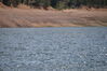 Filename=20200615_095.jpg
Filesize=547KiB
Dimensions=2047x1360
Date added=Dec 21, 2020 20200615_095.jpg