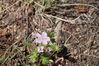 Filename=20200615_096.jpg
Filesize=457KiB
Dimensions=2047x1360
Date added=Dec 21, 2020 20200615_096.jpg