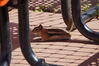 Filename=20200615_097.jpg
Filesize=332KiB
Dimensions=2047x1360
Date added=Dec 21, 2020 20200615_097.jpg