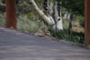Filename=20200615_098.jpg
Filesize=270KiB
Dimensions=2047x1360
Date added=Dec 21, 2020 20200615_098.jpg