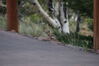 Filename=20200615_099.jpg
Filesize=272KiB
Dimensions=2047x1360
Date added=Dec 21, 2020 20200615_099.jpg
