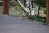 Filename=20200615_100.jpg
Filesize=271KiB
Dimensions=2047x1360
Date added=Dec 21, 2020 20200615_100.jpg