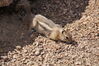 Filename=20200615_105.jpg
Filesize=581KiB
Dimensions=2047x1360
Date added=Dec 21, 2020 20200615_105.jpg