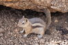 Filename=20200615_106.jpg
Filesize=485KiB
Dimensions=2047x1360
Date added=Dec 21, 2020 20200615_106.jpg