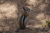 Filename=20200615_110.jpg
Filesize=553KiB
Dimensions=2047x1360
Date added=Dec 21, 2020 20200615_110.jpg
