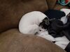 Filename=20200617_001.jpg
Filesize=456KiB
Dimensions=2048x1536
Date added=Dec 21, 2020 20200617_001.jpg