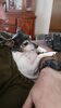 Filename=20200619_002.jpg
Filesize=342KiB
Dimensions=1152x2048
Date added=Sep 26, 2021 20200619_002.jpg
