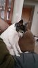 Filename=20200619_003.jpg
Filesize=282KiB
Dimensions=1152x2048
Date added=Sep 26, 2021 20200619_003.jpg