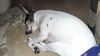 Filename=20200621_015.jpg
Filesize=422KiB
Dimensions=2048x1152
Date added=Sep 26, 2021 20200621_015.jpg
