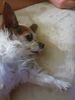 Filename=20200622_001.jpg
Filesize=516KiB
Dimensions=1536x2048
Date added=Dec 21, 2020 20200622_001.jpg