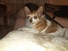 Filename=20200622_002.jpg
Filesize=371KiB
Dimensions=2048x1536
Date added=Dec 21, 2020 20200622_002.jpg