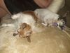 Filename=20200622_004.jpg
Filesize=410KiB
Dimensions=2048x1536
Date added=Dec 21, 2020 20200622_004.jpg