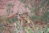 Filename=20200629_015.jpg
Filesize=539KiB
Dimensions=2047x1360
Date added=Dec 21, 2020 20200629_015.jpg