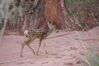 Filename=20200629_017.jpg
Filesize=399KiB
Dimensions=2047x1360
Date added=Dec 21, 2020 20200629_017.jpg