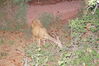 Filename=20200629_018.jpg
Filesize=697KiB
Dimensions=2047x1360
Date added=Dec 21, 2020 20200629_018.jpg