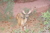 Filename=20200629_020.jpg
Filesize=532KiB
Dimensions=2047x1360
Date added=Dec 21, 2020 20200629_020.jpg