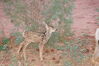 Filename=20200629_021.jpg
Filesize=618KiB
Dimensions=2047x1360
Date added=Dec 21, 2020 20200629_021.jpg