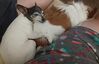 Filename=20200710_001.jpg
Filesize=299KiB
Dimensions=2047x1321
Date added=Dec 21, 2020 20200710_001.jpg